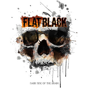 Flat Black* Dark Side of the Brain [New Vinyl Record 2 X LP]