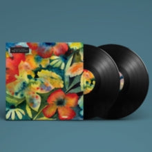 Adrianne Lenker * Songs & Instruments [New LP]