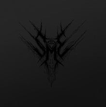 Stellar Master Elite : Hologram Temple (LP, Cry + LP, S/Sided, Etch, Cry + Album)