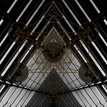 Stellar Master Elite : Hologram Temple (LP, Cry + LP, S/Sided, Etch, Cry + Album)