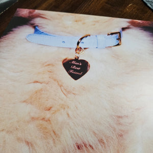 Sabrina Carpenter * Man's Best Friend [Light Blue LP]