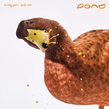 Pond * The Early Years: 2008 - 2010 [2 X LP RSD 2025]