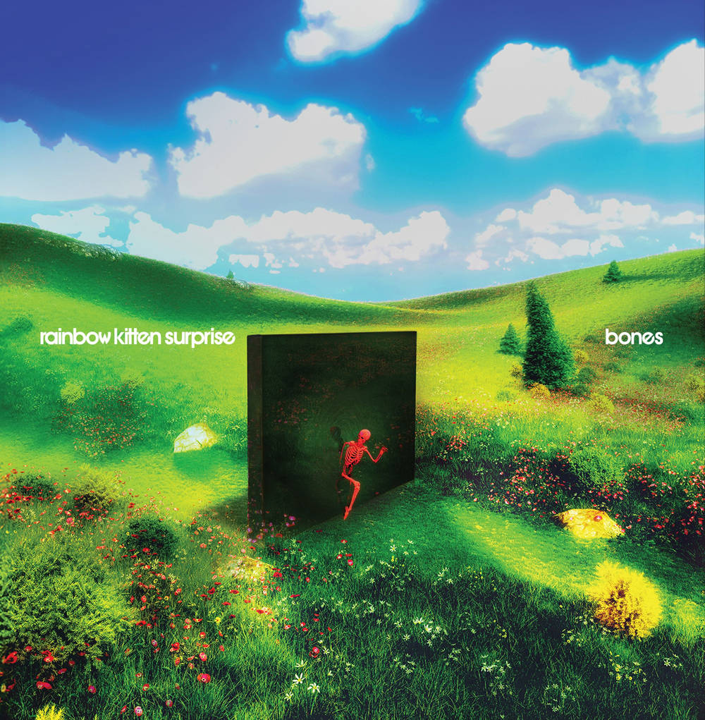 Rainbow Kitten Surprise * bones [New LP]