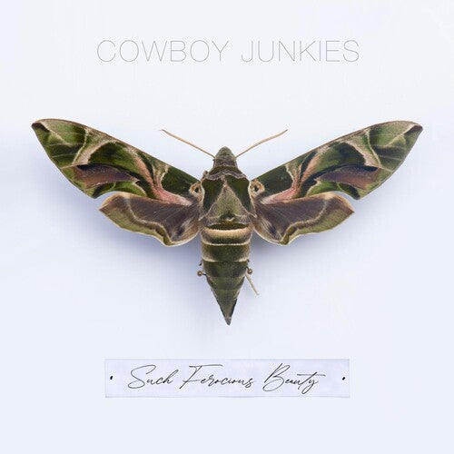 Cowboy Junkies * Such Ferocious Beauty [New CD]