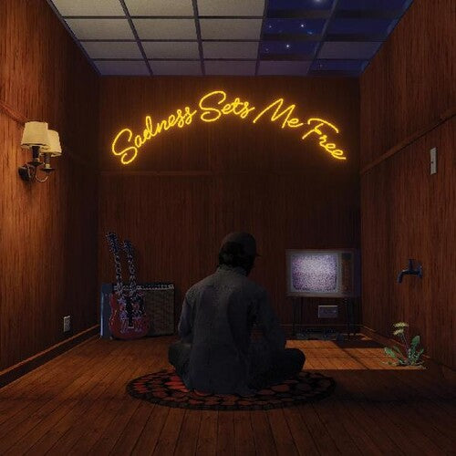 Gruff Rhys * Sadness Sets Me Free [Colored Vinyl Record LP or CD]