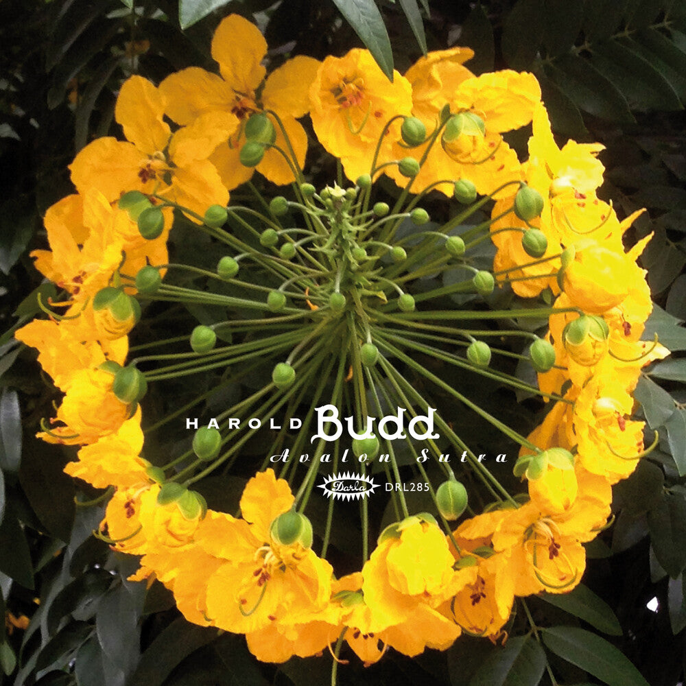 Harold Budd * Avalon Sutra (Bonus Cd) [Limited Edition]