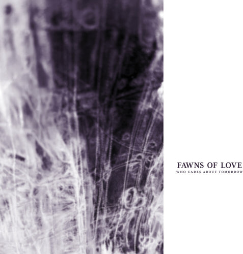 Pre-Order: Fawns of Love * Who Cares About Tomorrow [Remastered]