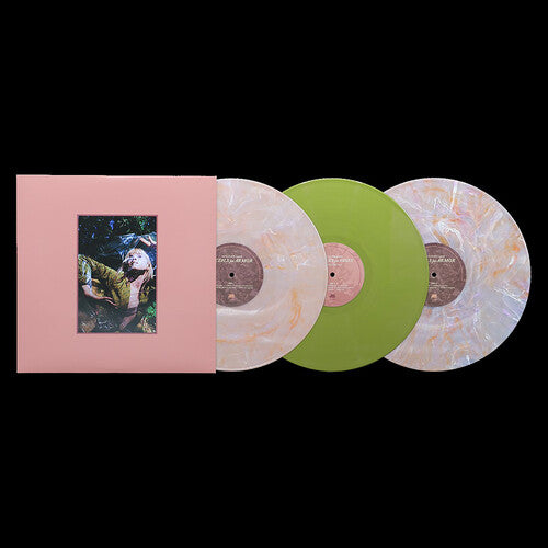 Pre-Order Hayley Williams * FLOWERS for VASES + Petals for Armor [IEX 3 X LP]
