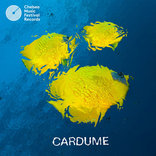 Pre-Order: Cardume * Cardume [New LP]