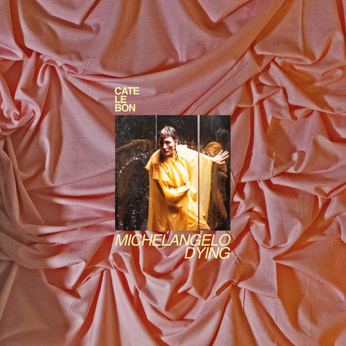 Cate Le Bon * Michelangelo Dying [New LP]