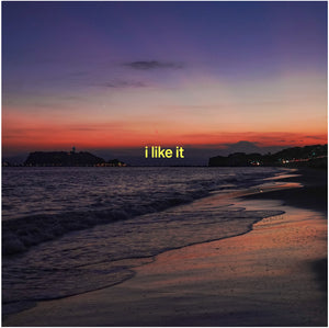 Pre-Order: JP THE WAVY * I Like It (Feat. Yo-Sea Lex & Io) [New LP]
