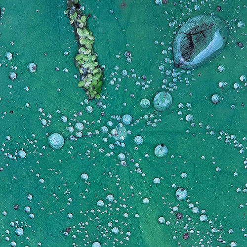 Pre-Order: Peter Chilvers * Dust 1 (10in) [New LP]