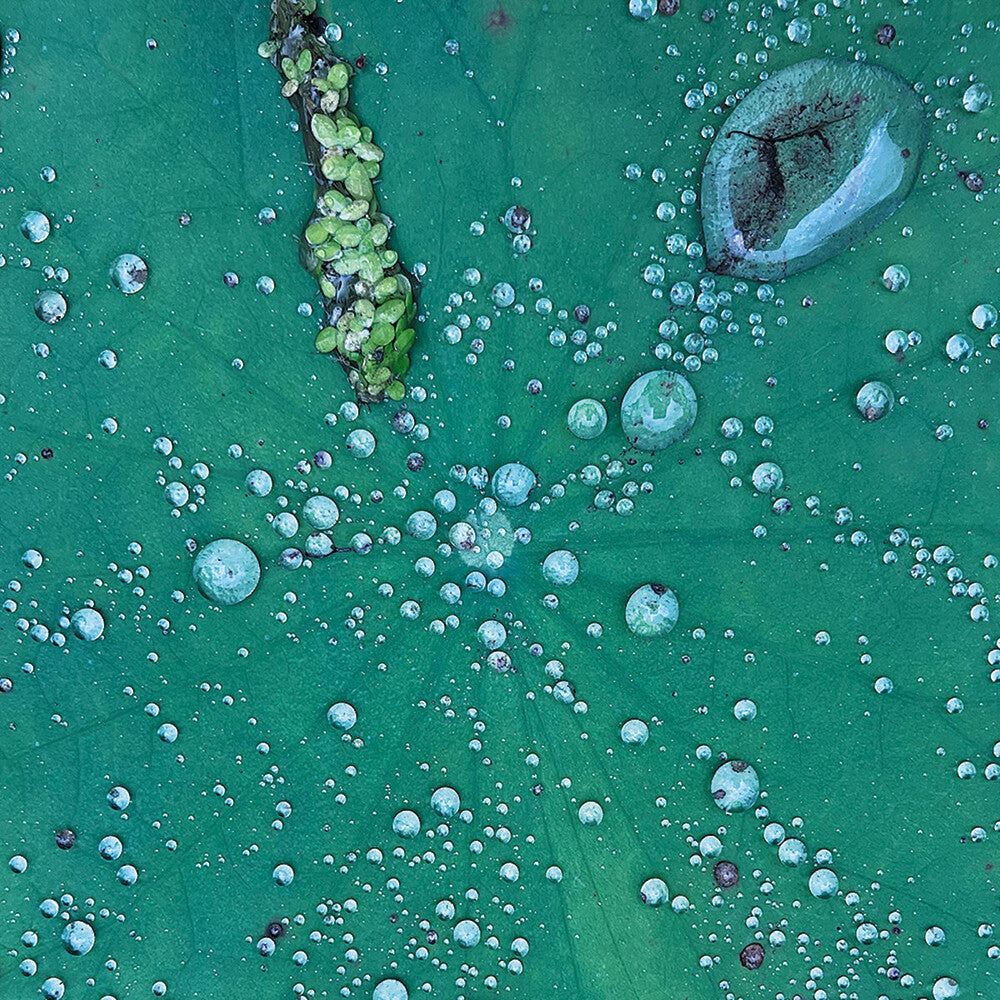 Pre-Order: Peter Chilvers * Dust 1 (10in) [New LP]