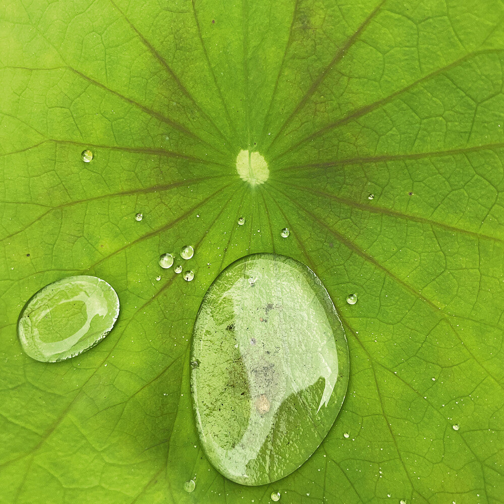 Pre-Order: Peter Chilvers * Dust 3 (10in) [New LP]