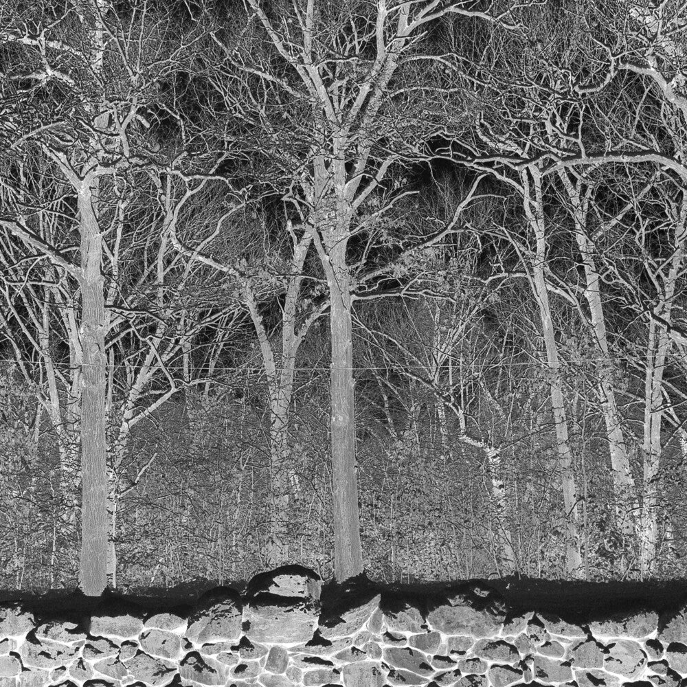 Pile * Sunshine & Balance Beams [New CD]