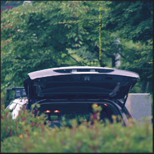 Eiko Ishibashi  / O'rourke,Jim * Pareidolia [New LP]