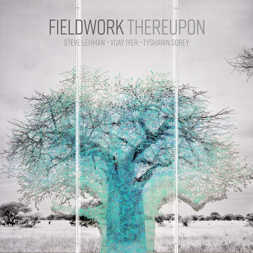 Fieldwork * Thereupon [New LP]