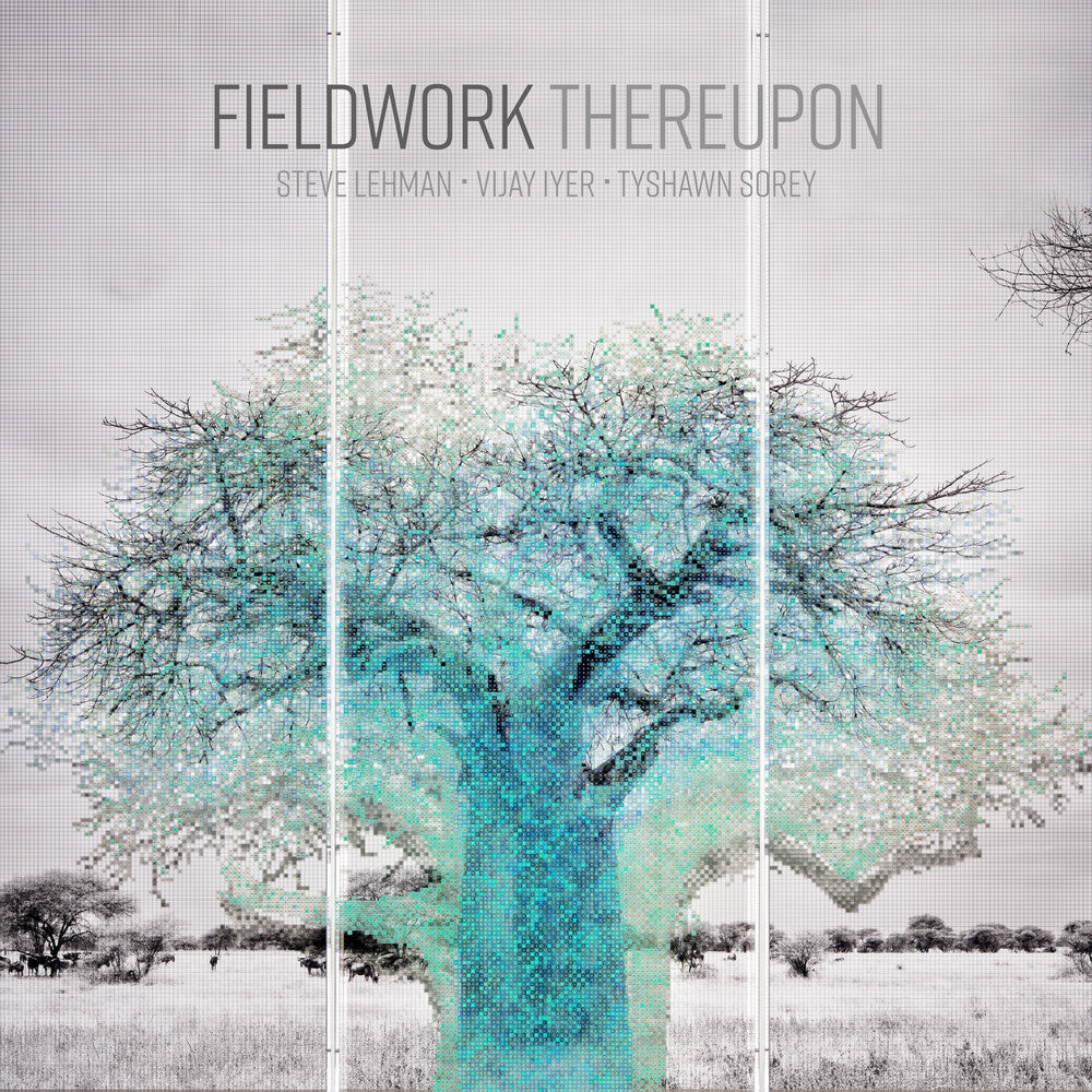 Fieldwork * Thereupon [New LP]