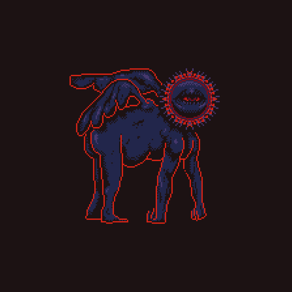 Sanam * Sametou Sawtan [New CD]