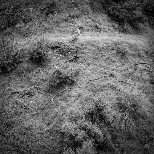 Anna Tivel * Animal Poem [New LP]