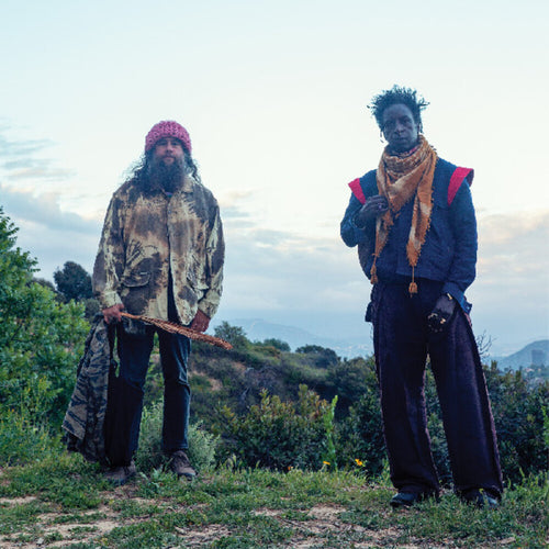 Saul Williams  / Nino,Carlos * Saul Williams Meets Carlos Nino & Friends At (Grn) [New LP]