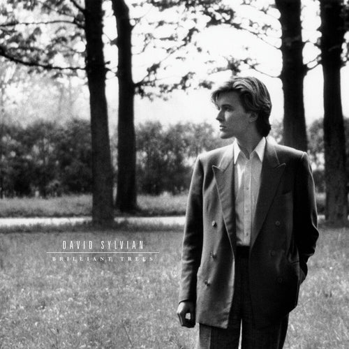David Sylvian * Brilliant Trees - Olive Opaque Black [Colored Vinyl]