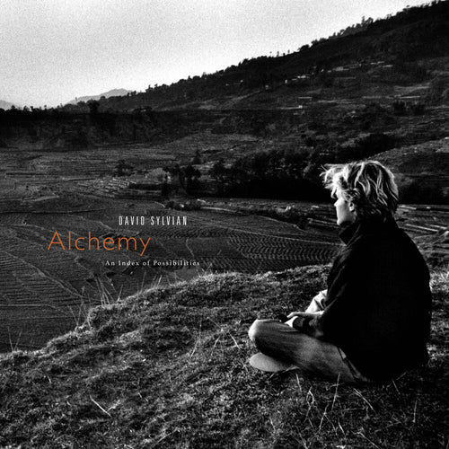 David Sylvian * Alchemy: An Index Of Possibilities - Gold Opaque [New LP]