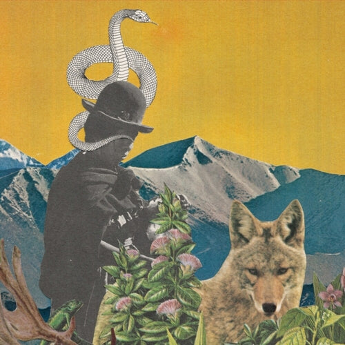 Leslie Graves  / Goodshank,Toby * Between Worlds [Clear Vinyl]