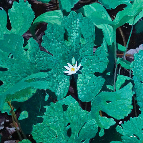 Pre-Order: Early Fern * Wetland Interiors [180 Gram]