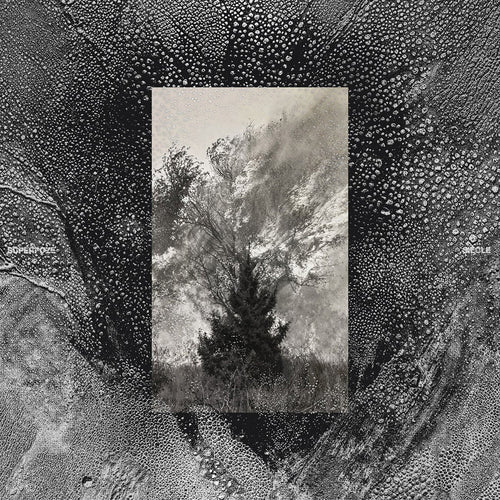 Pre-Order: Superpoze * Siecle [New CD]