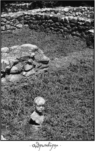 Telma * Man-Eater (Uk) [New LP]