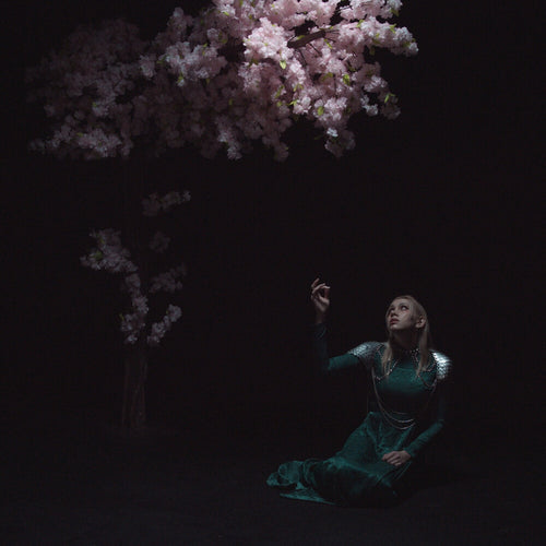 Daedric * As The Light Left [With Booklet] (Phot) [Digipak]