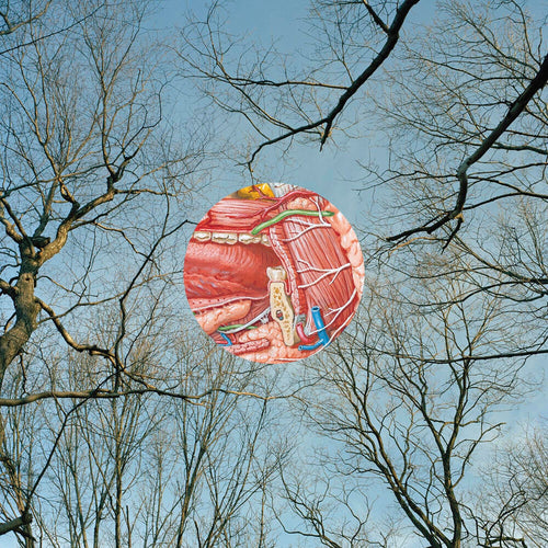 They Might Be Giants * Glean [Clear Vinyl] (Red)