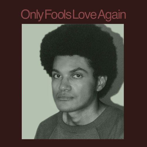 Danny Ayala * Only Fools Love Again [New LP]