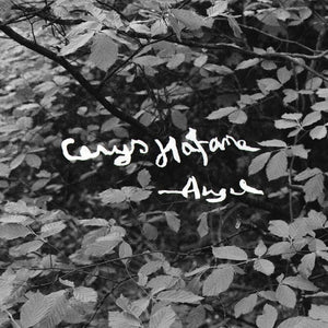 Cerys Hafana * Angel [New LP]