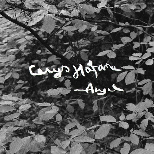 Cerys Hafana * Angel [New CD]