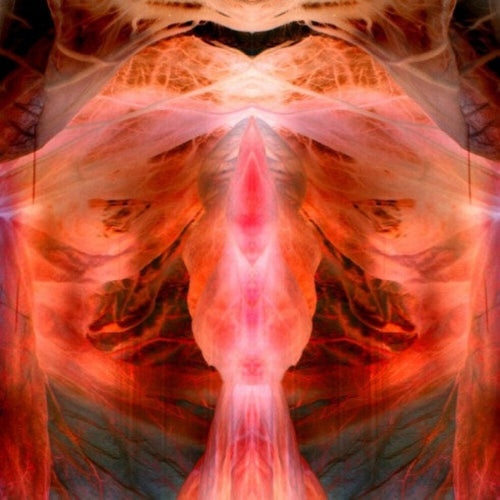 Paul Schutze * Annihilating Angel Or Surface Of The World [Reissue]