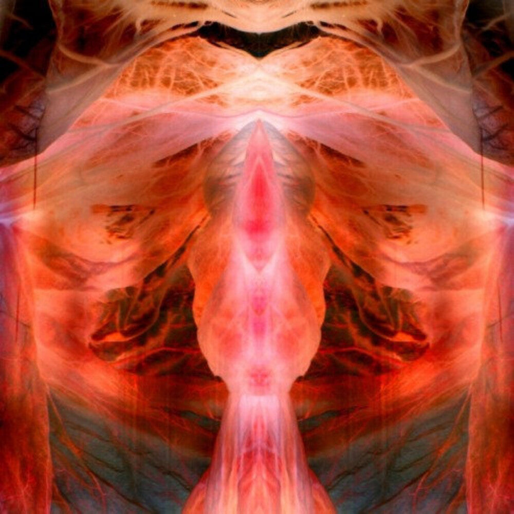 Paul Schutze * Annihilating Angel Or Surface Of The World [Reissue]