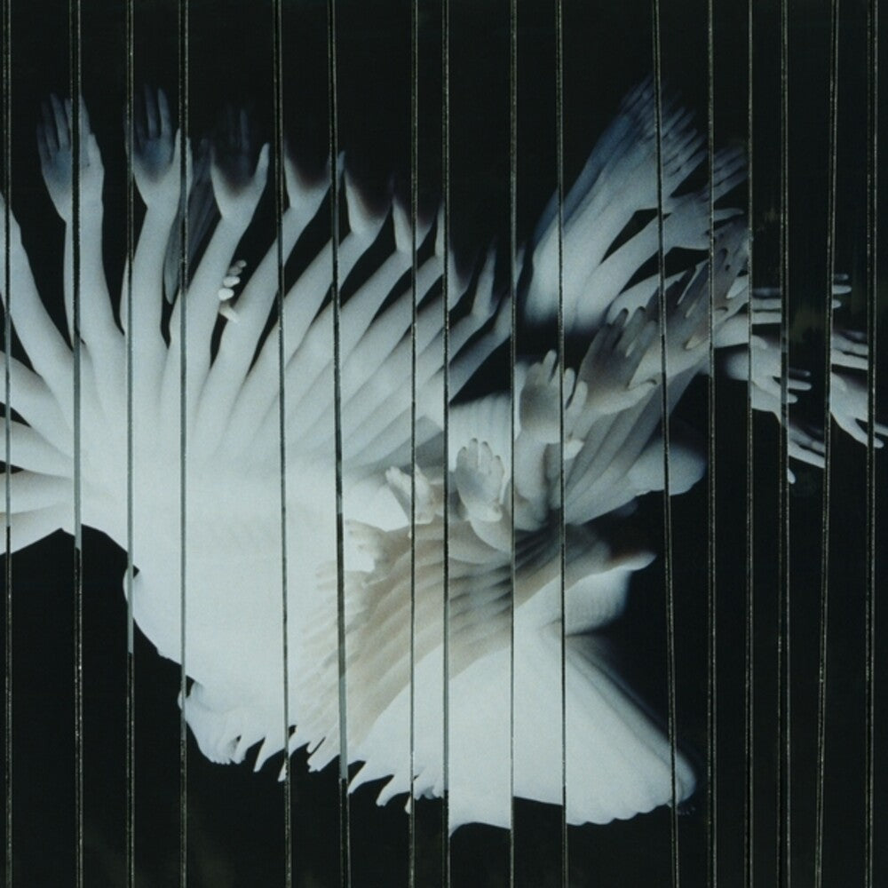 Scaler * Endlessly [New CD]