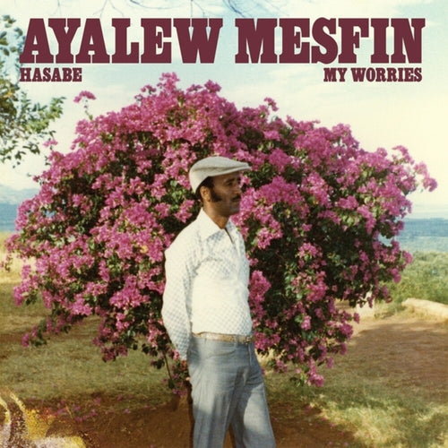 Mesfin, Ayalew * Hasabe - My Worries [New LP]