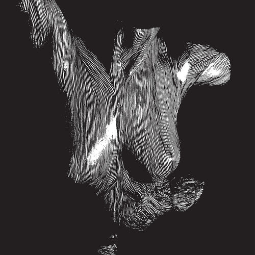 Oceansize * Self Preserved While The Bodies Float Up (Aniv) [New LP]