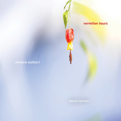the album cover for Melanine Dalibert  / Sylvian,David - Vermilion Hours