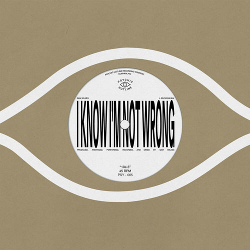 the album cover for Sam Wilkes - 104.3