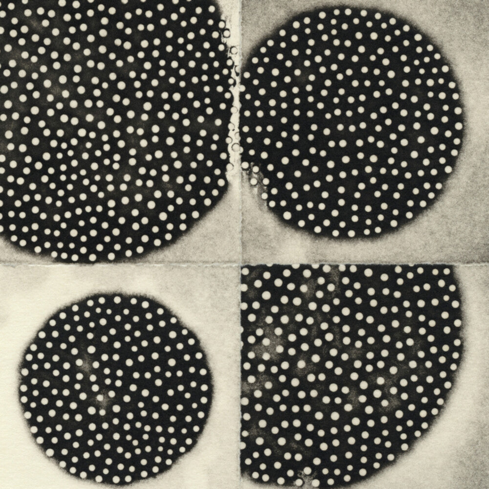 K Leimer . * Resting Forms [New CD]