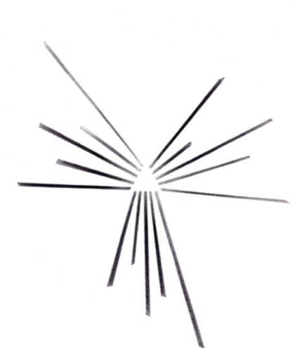 Six Organs Of Admittance * Mariakapel [New LP]