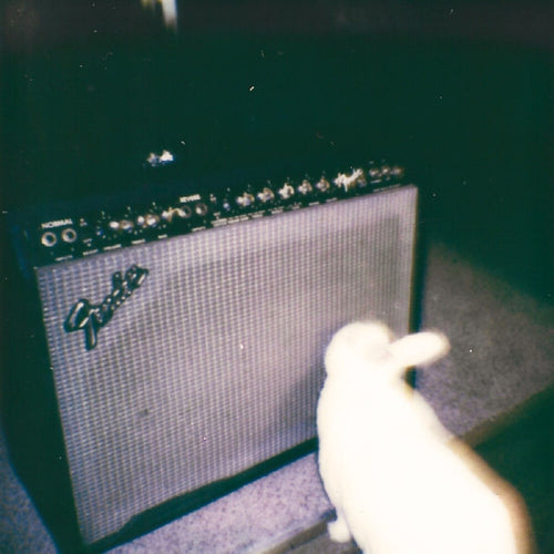 Pre-Order: Shrine Maiden * A Theory of /Cloud/ [New CD]