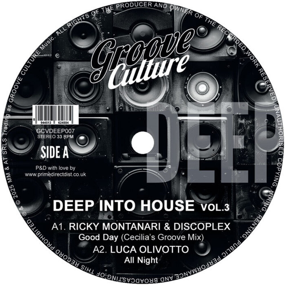 Deep Into House Vol. 3 / Various * Deep Into House Vol. 3 / Various [New LP]