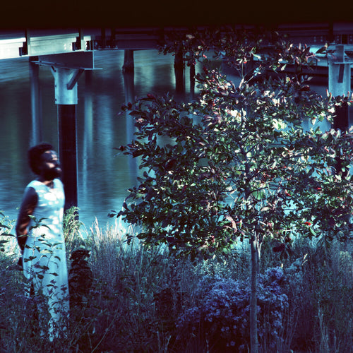 Pre-Order: Jjjjjerome Ellis * Vesper Sparrow [New LP]