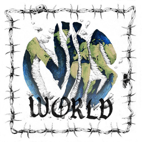 the album cover for Niis - Niis World (Blue) [Clear Vinyl] (Grn) (Spla)