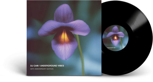 the album cover for DJ Cam - Underground Vibes (30th Anniversary) (Aniv)